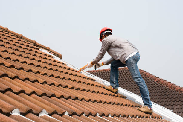 Professional  Roofing repair and installation in College Place, WA